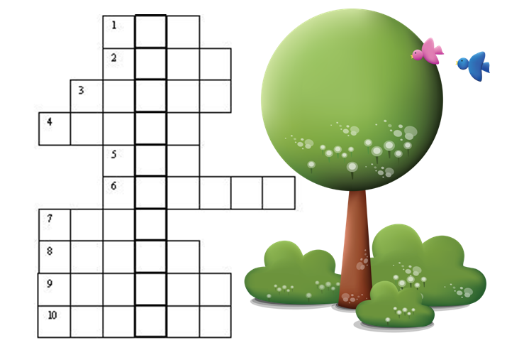 Crossword "Trees and shrubs"