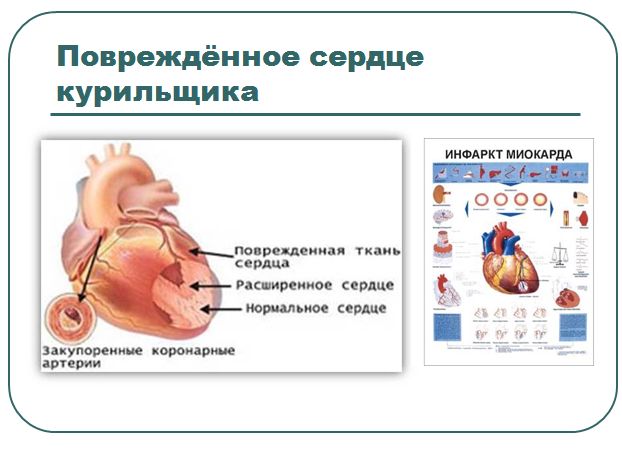 Slide 8
