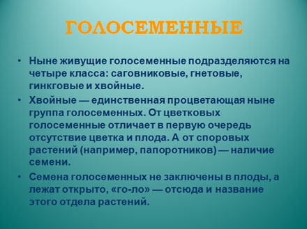 gymnosperms