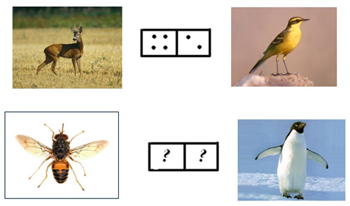 Logical problems in mathematics