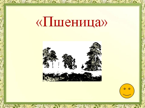 quiz