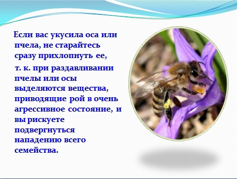 Insect bites